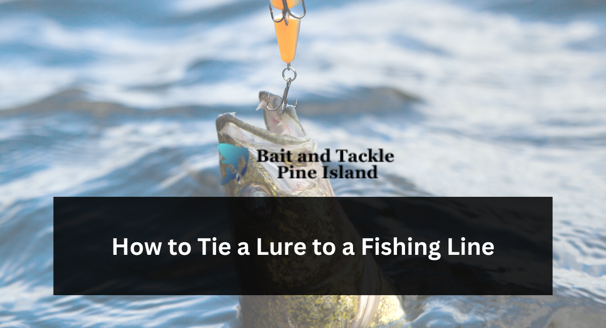 How to Tie a Lure to a Fishing Line