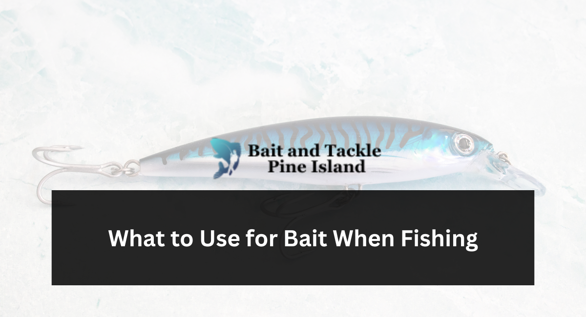 What to Use for Bait When Fishing